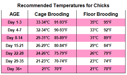 incubator temperature chart